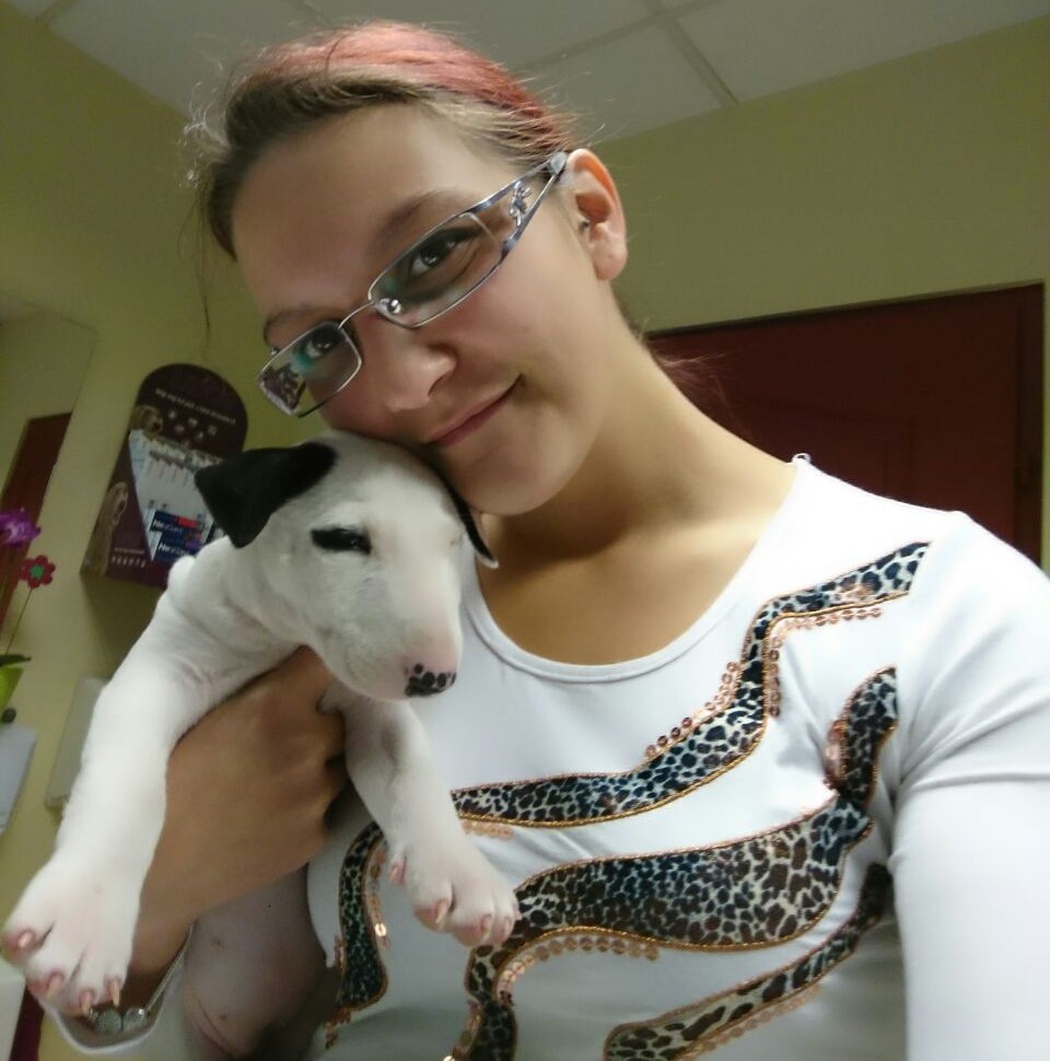 with bulldog puppy