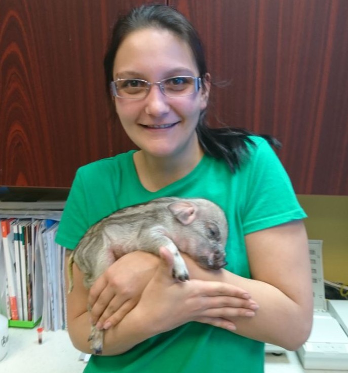 with piggy