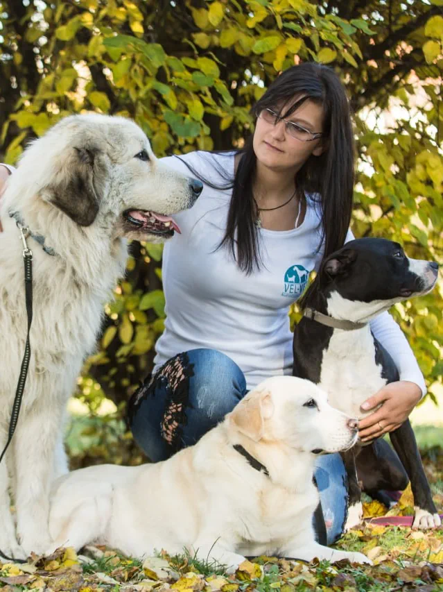 Zeus, Zizi, Zira